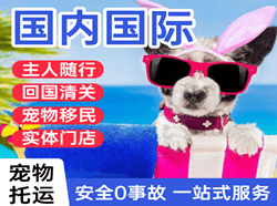 德宏航空邮寄国际宠物托运 【国
